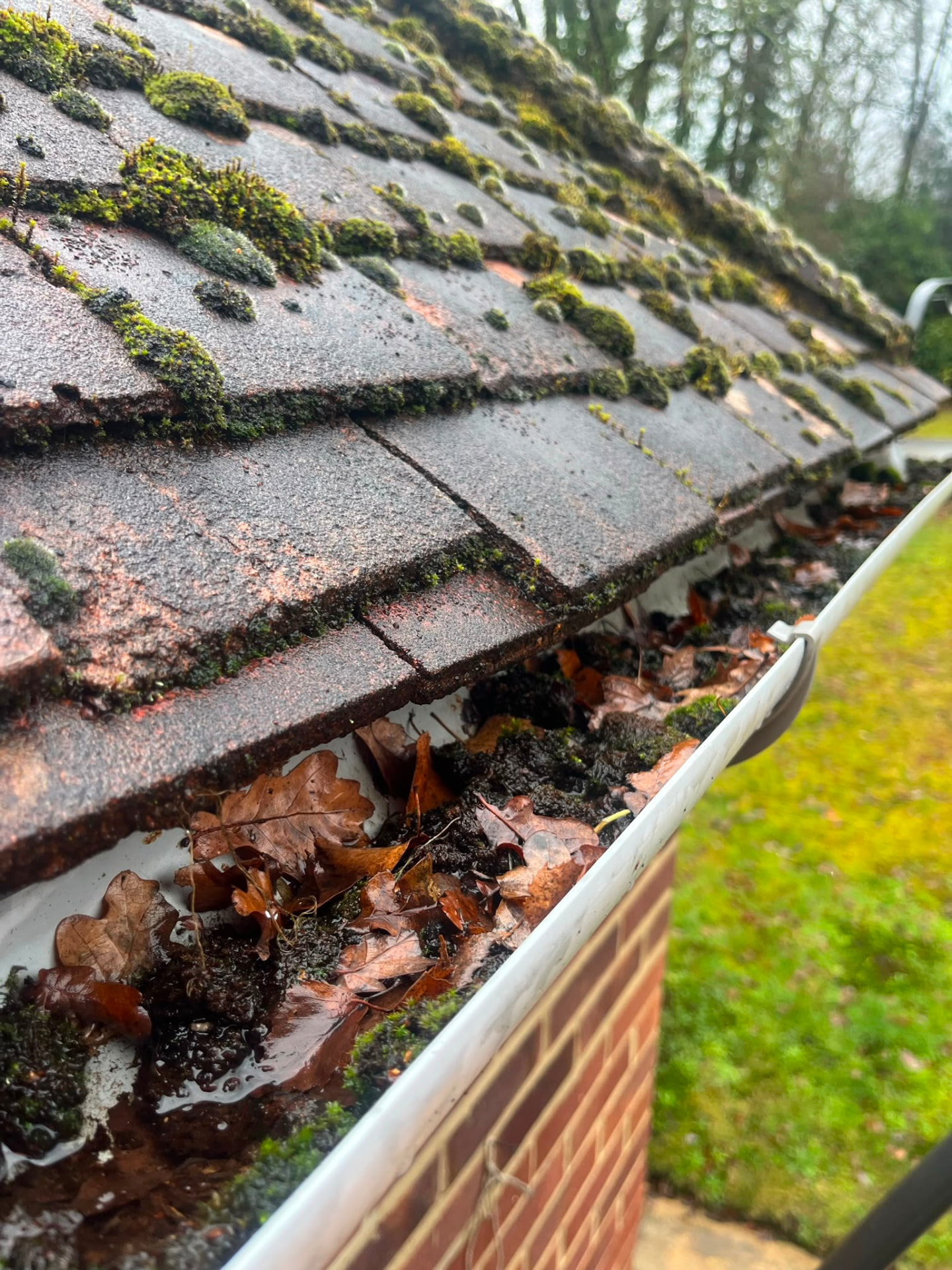 Gutter packed with fallen leaves and silt
