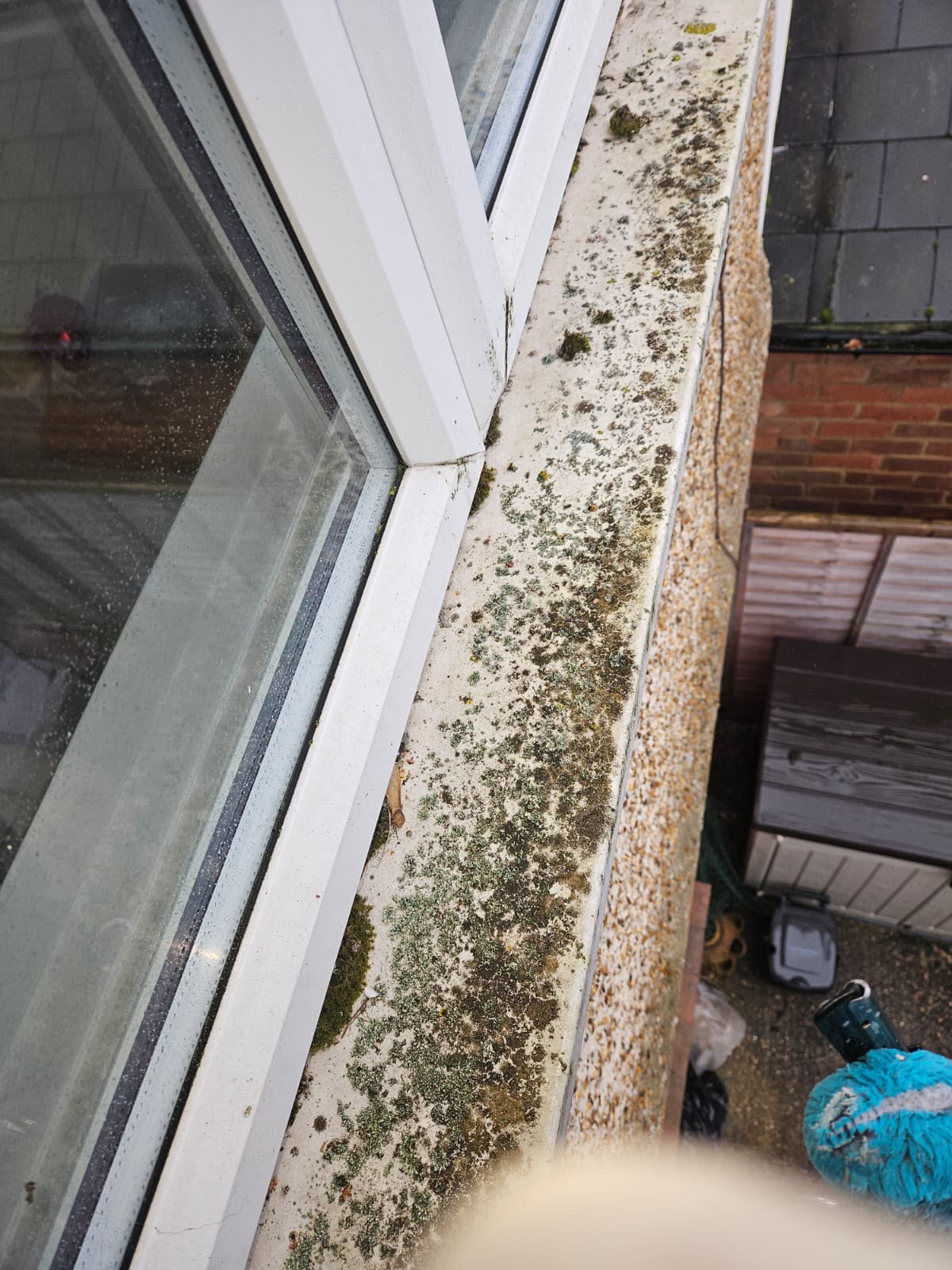 Window sill covered in moss and algae before cleaning